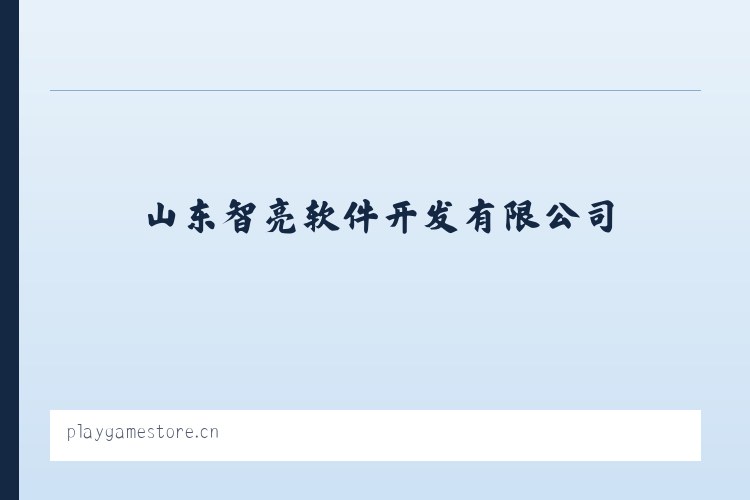 山东智亮软件开发有限公司 列表图